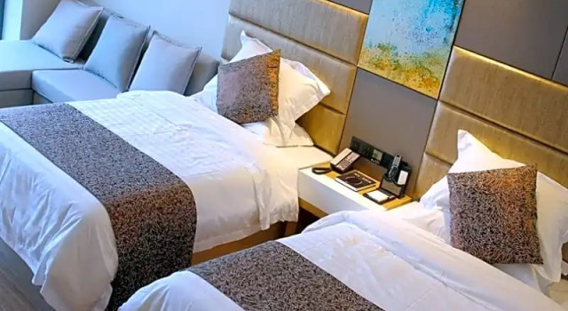 Двухместный номер Standard GreenTree Eastern Yancheng Administration Center Hotel