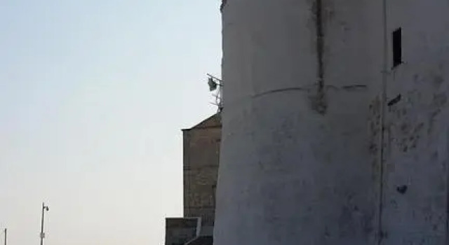 Latorreangioina