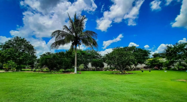 Номер Standard Hotel Quinta Izamal