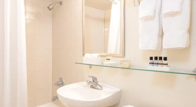 Люкс с 2 комнатами Park Lane Suites & Inn