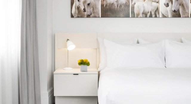 Номер Standard 21c Museum Hotel Lexington