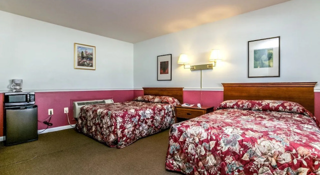 Номер Standard White Marsh Motel