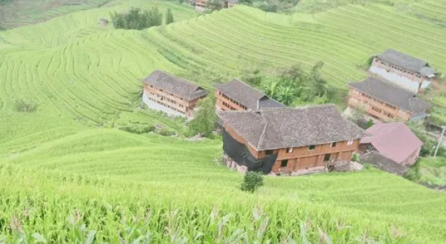 Jinyuan Gelou Homestay, Buchen Sie Hotel Longsheng Guangxi