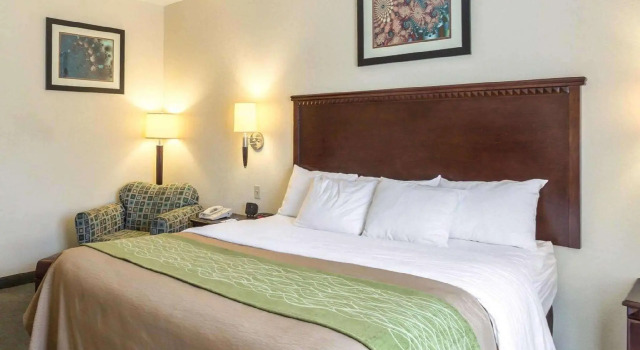 Двухместный номер Standard Quality Inn Donaldsonville - Gonzales