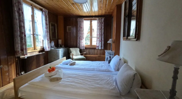 Двухместный номер Standard с видом на горы Edelweiss Lodge