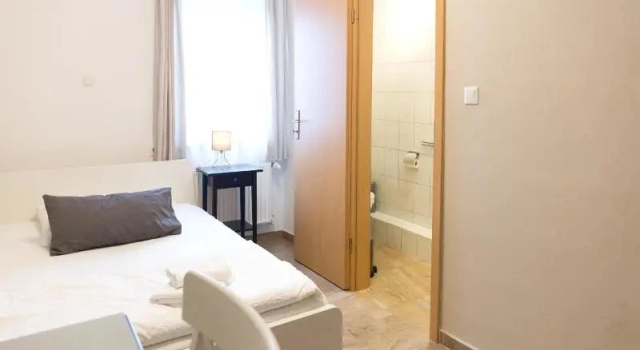 Двухместный номер Economy Hotel Frankenthaler Hof