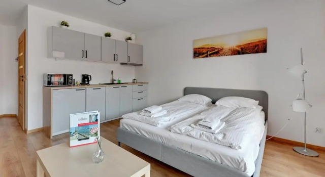 Студия с балконом WaterLane Island Hostel&Apartments