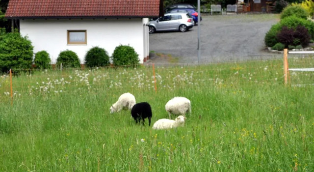 Коттедж Ferienhaus Müller