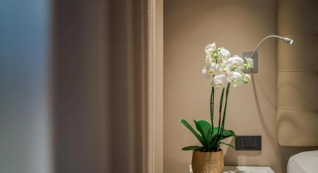 Двухместный номер Economy Hotel Franz