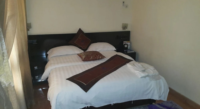 Standard Zimmer Hotel Hayatt