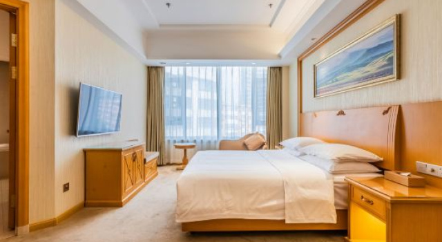 Люкс Superior Vienna Hotel (Shenyang Central Street)