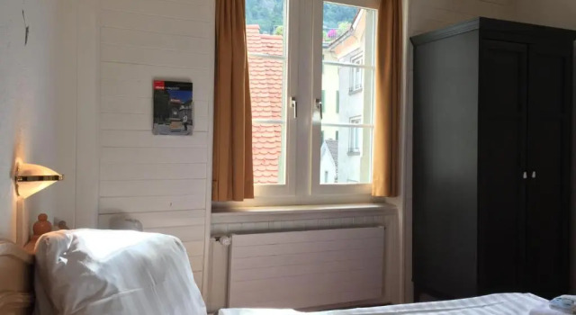 Двухместный номер Classic Zunfthaus zur Rebleuten