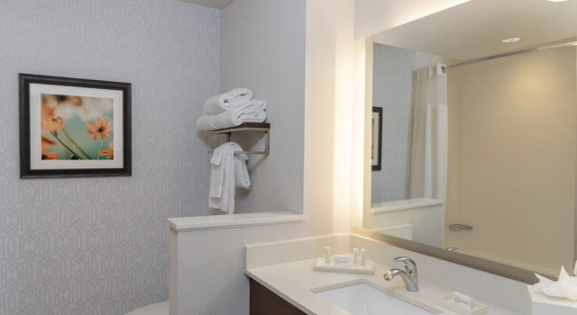 Двухместный люкс Fairfield Inn & Suites by Marriott Indianapolis Carmel
