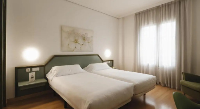 Двухместный номер Standard Hotel Urdanibia Park