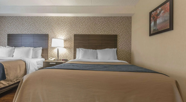 Четырёхместный номер Standard Comfort Inn