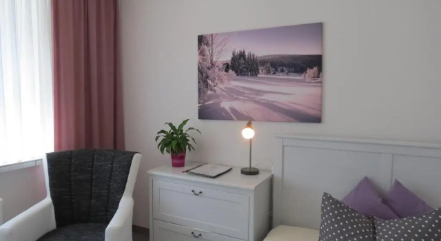 Номер Standard Ferienhotel Mühlleithen