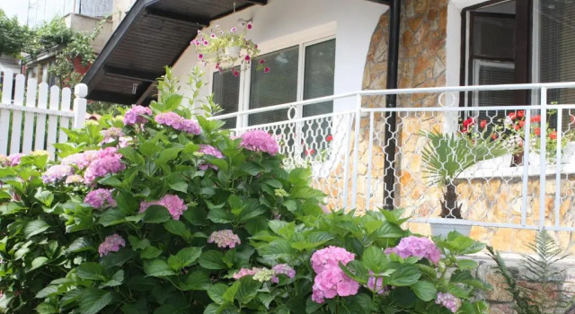 Полулюкс Andro Apartments