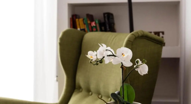 Номер Standard Torripa Collection - Domus Vittoria - Prati