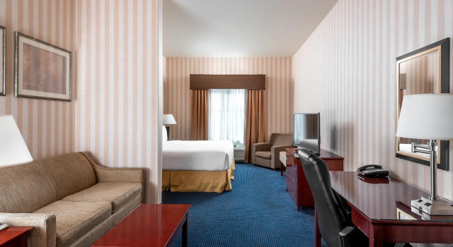 Двухместный люкс Holiday Inn Express & Suites Lathrop by IHG
