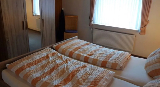 Silbermöwe