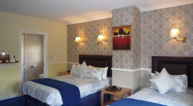 Avlon House Bed and Breakfast, Rezerwuj Bed and Breakfast Carlow Carlow