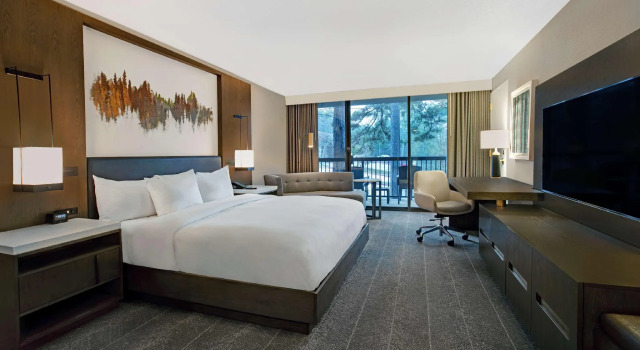 Двухместный номер Standard Hilton Peachtree City Atlanta Hotel & Conference Center