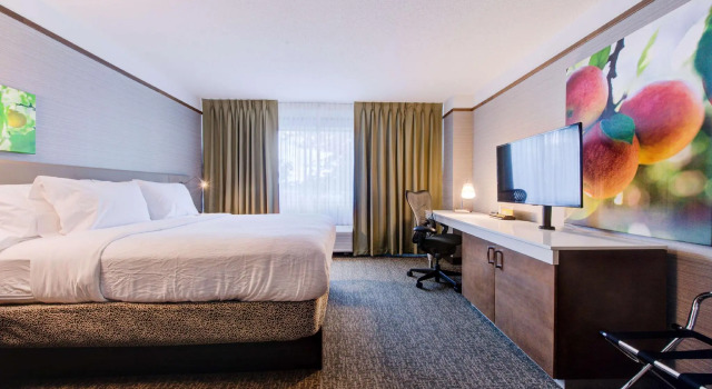 Двухместный номер Standard Hilton Garden Inn Detroit Southfield