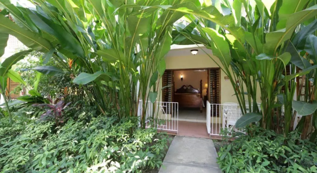 Номер Standard Negril Palms