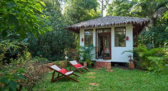 Двухместный номер Standard Tropical Bliss Residence