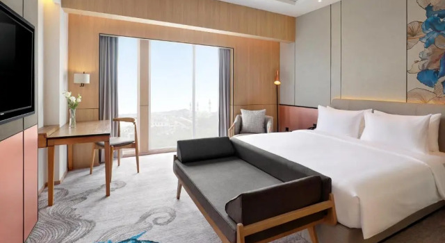 Двухместный номер Deluxe Mercure Samarinda