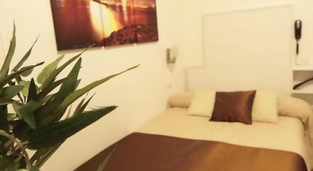 Одноместный номер Standard Hotel Birillo