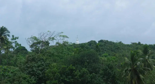 Mirissa Eco Hills