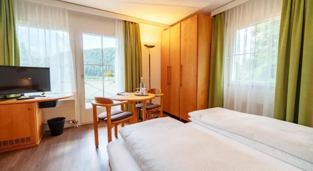 Camera doppia Standard con balcone Typically Swiss Hotel Altana