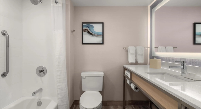 Четырёхместный номер Standard Hilton Garden Inn Washington DC/Greenbelt