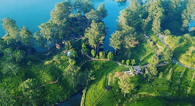 Люкс Deluxe The Farm Resorts