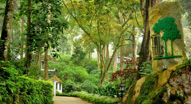Двухместный люкс The Tall Trees Munnar
