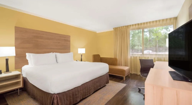 Двухместный номер Standard Wyndham Garden Washington DC North