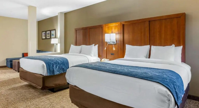 Четырёхместный номер Standard Comfort Suites Greensboro-High Point