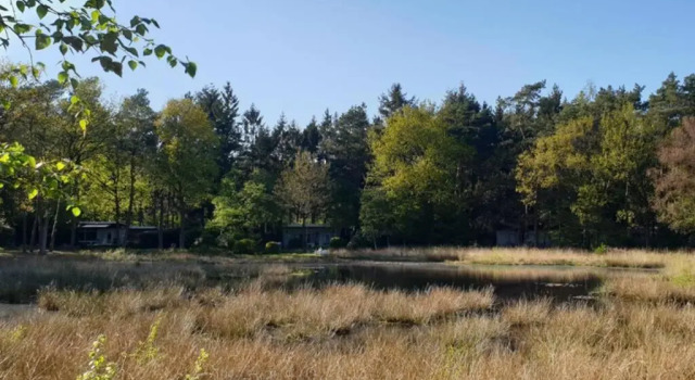 Drentse bungalow in natuur en rust, Prenota Hotel Spier 