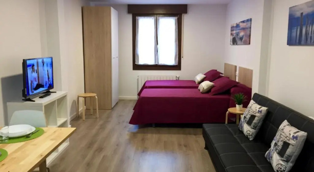 Студия Apartamentos Jurramendi - Los Arcos