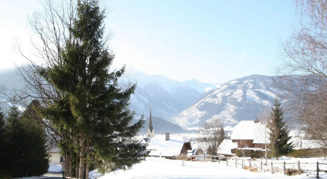 Апартаменты Apartment in Lungau near Ski Bus and Forest