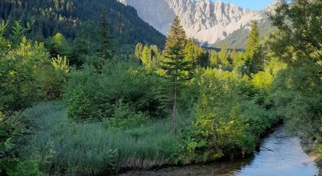 Secluded Apartment in Ferlach near Bodental Ski Lift