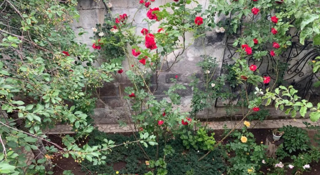 Студия Armines B&B
