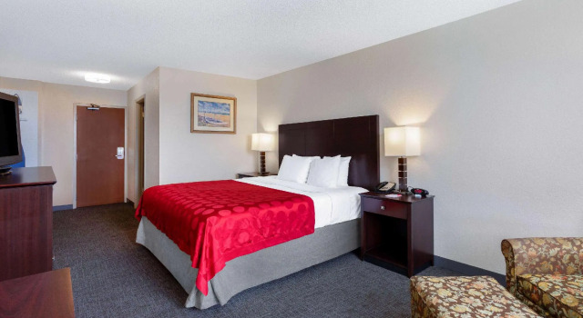 Двухместный номер Standard с видом на бассейн 88 Palms Hotel & Event Center