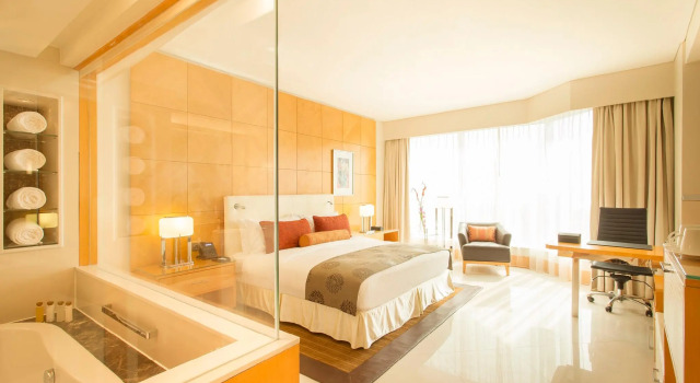 Двухместный номер Superior Lagos Continental Hotel