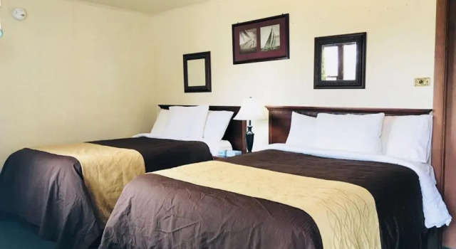 Четырёхместный номер Standard Green Valley Motel