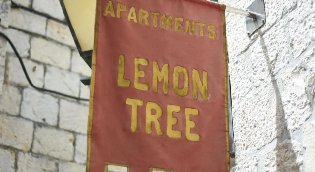 Tragos Lemon Tree