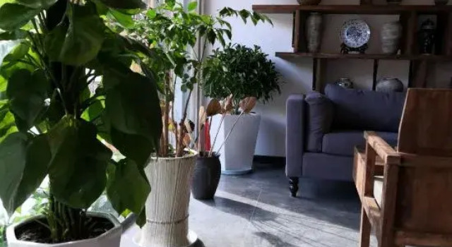 Jihe Xiaozhu Guesthouse, Book Hotel Hoteller og overnatningssteder i Moxi, Hotel
