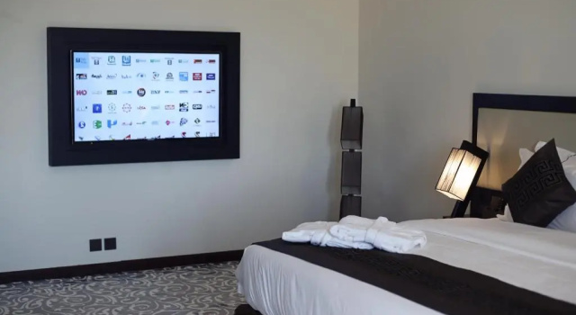 Двухместный номер Deluxe Artama Hotel
