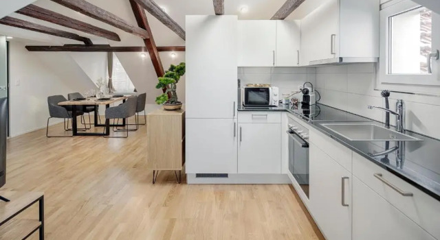 Люкс VISIMO Apartments St Georgen-Strasse St Gallen - Design City Nature